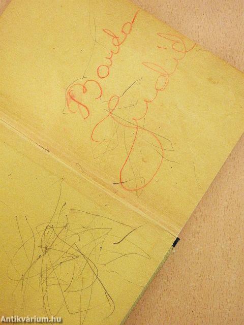 Petőfi Sándor élete/Komárom hőse