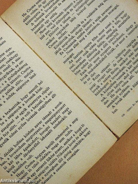 Szent István barbárjai