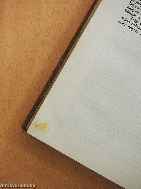 Erdélyi városképek