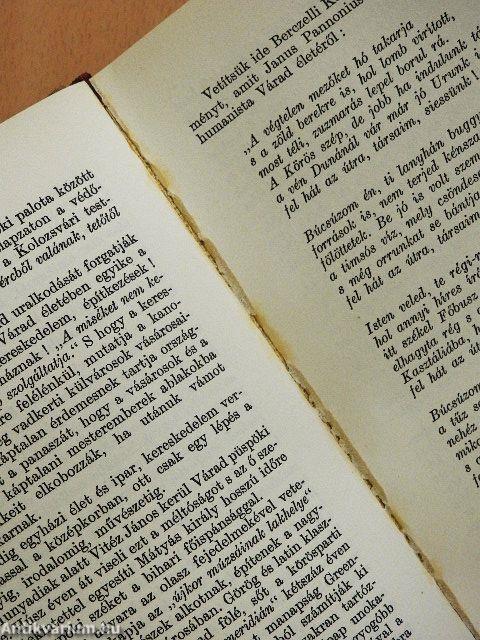 Erdélyi városképek