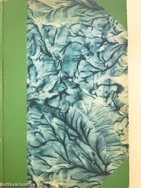 Szavak komédiája/Mici grófnő