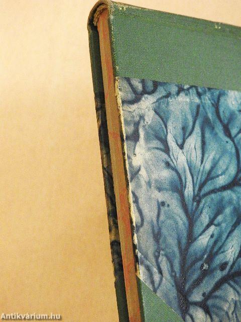 Szavak komédiája/Mici grófnő