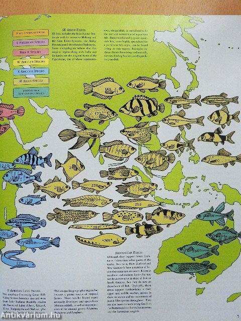 Aquarium Fish of the World