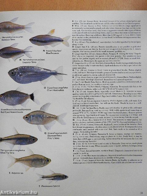 Aquarium Fish of the World