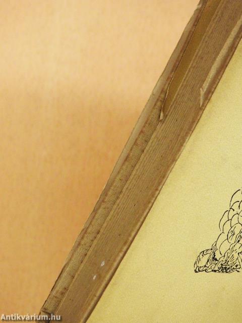 Almáskert (számozott, dedikált példány)