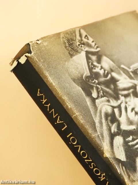 A koszovói lányka (dedikált példány)