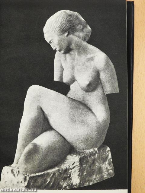 A koszovói lányka (dedikált példány)