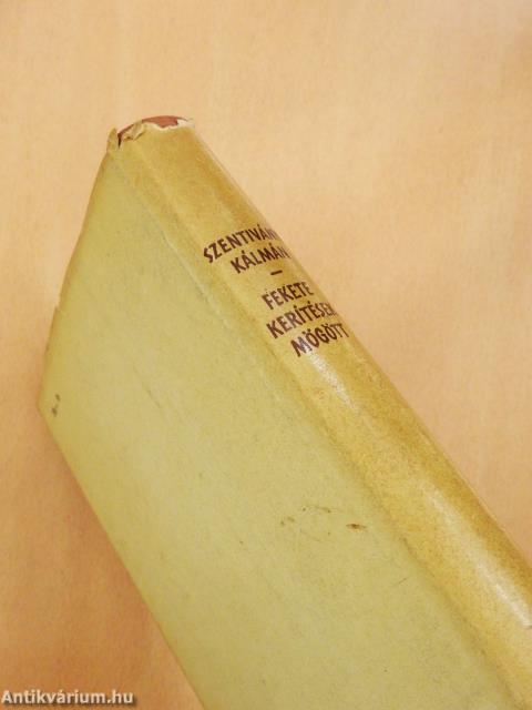 Fekete kerítések mögött (dedikált példány)