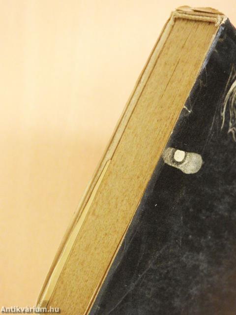 A teremtés kezdetén (dedikált példány)