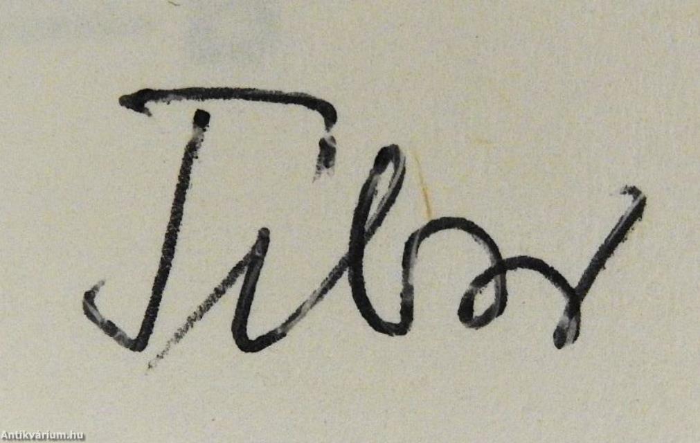 Parázna szobrok (dedikált példány)