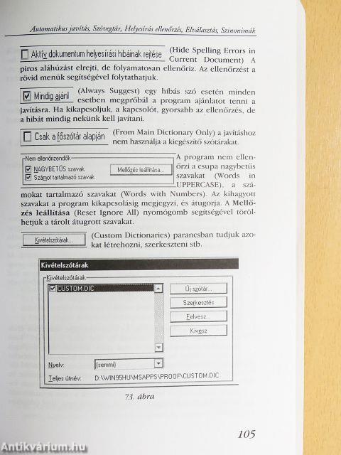 Word for Windows '95
