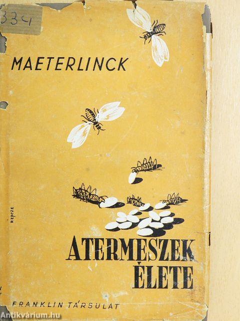 A termeszek élete