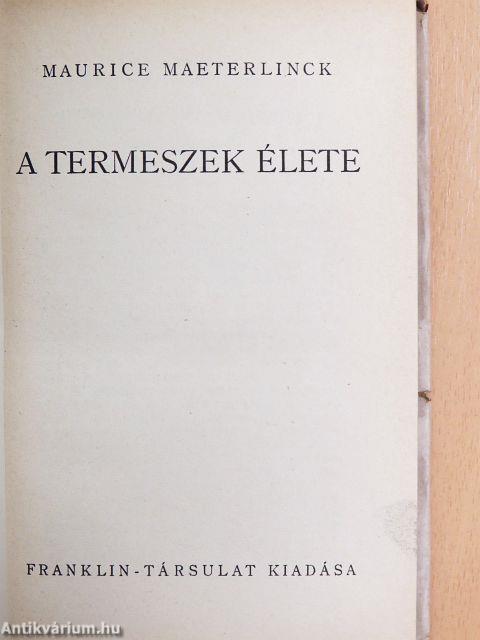 A termeszek élete