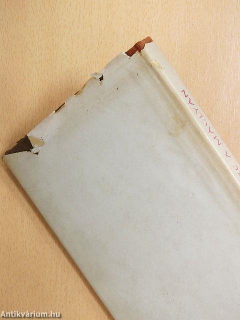 Jeanne D'Arc a máglyán