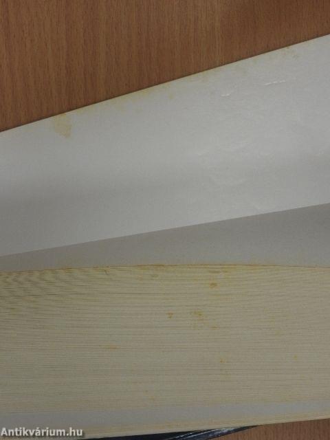 Történelem 40 tételben