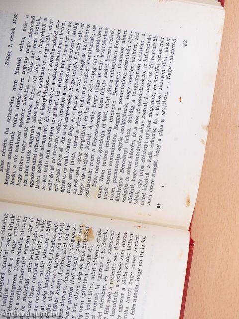 Törökországi levelek