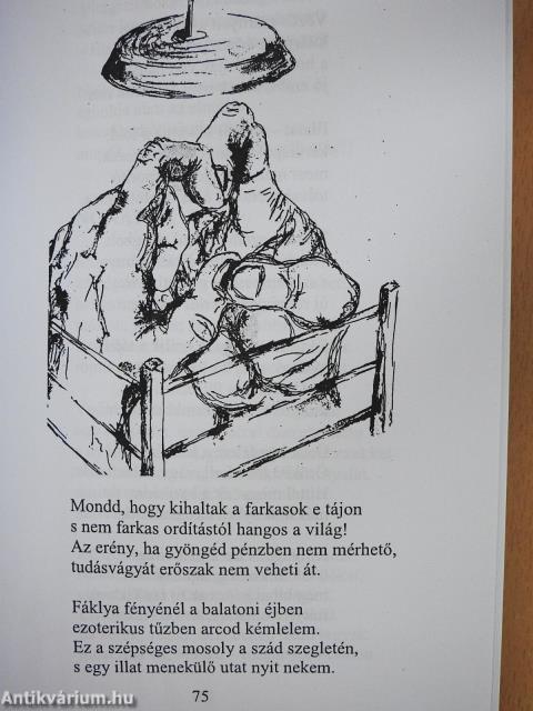 Ne siess, idő! (dedikált példány)