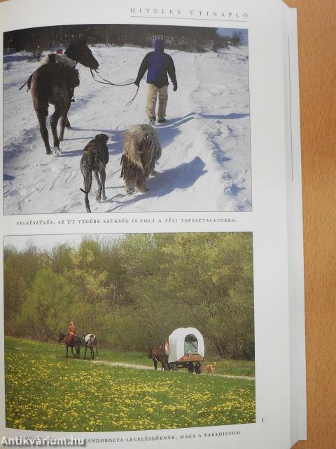 Vetett ágyunk kemény nyeregkápa ...2. (dedikált példány)