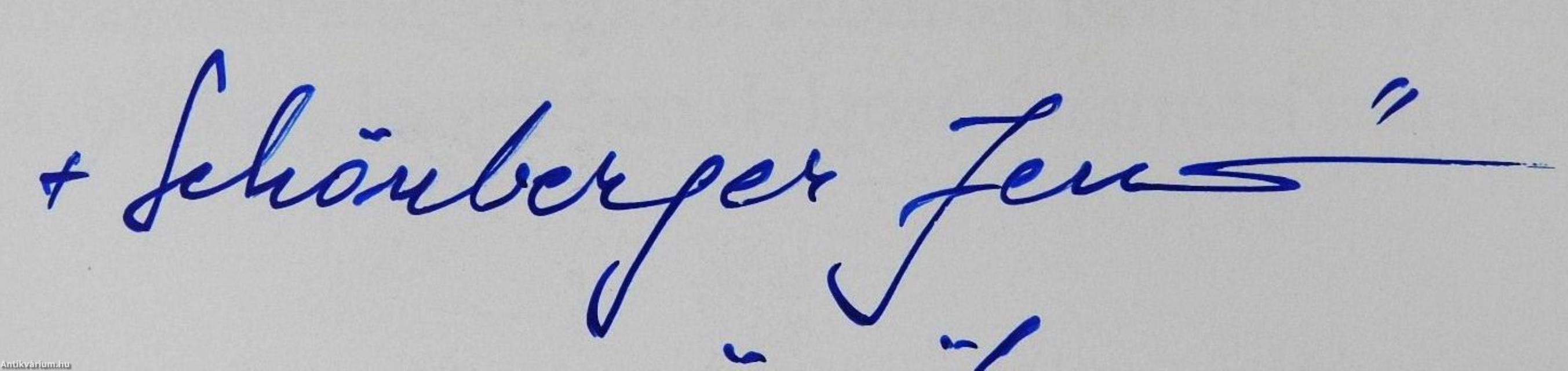 Szatmártól Chicagóig (dedikált példány)