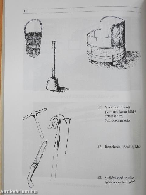 Szőlő- és gyümölcstermesztés a szanki homokon (dedikált példány)