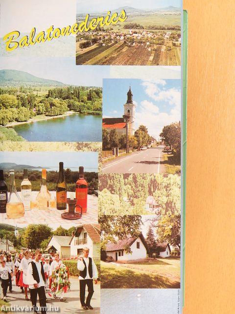 Irány Magyarország! 2002