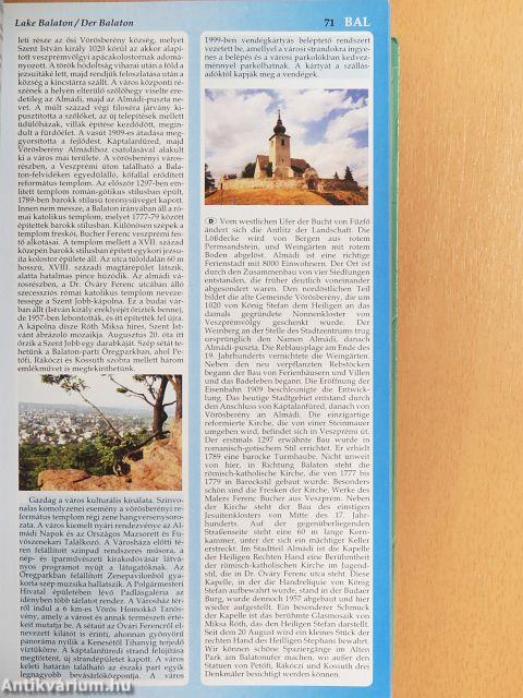 Irány Magyarország! 2002