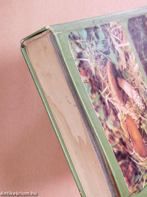 Ehető és mérges gombák