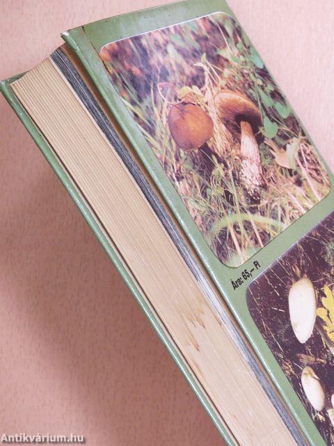 Ehető és mérges gombák