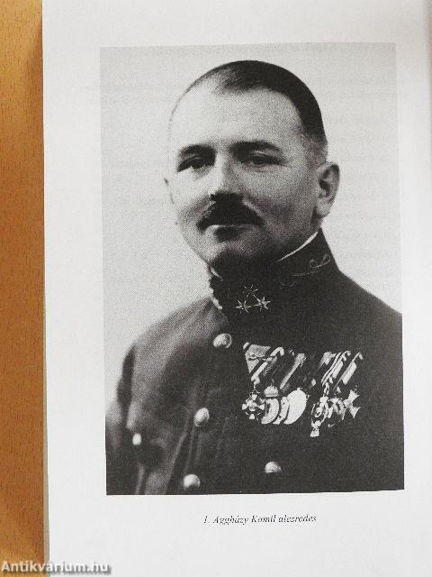 Budavár bevétele 1849-ben I-II.