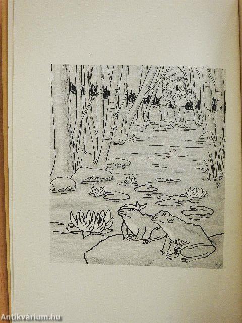 Who Will Run the Frog Hospital?