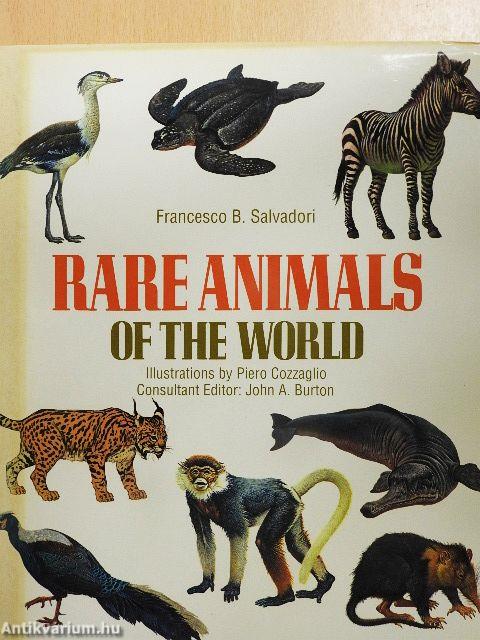 Rare Animals of the World