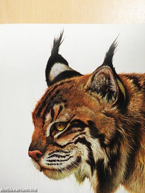 Rare Animals of the World