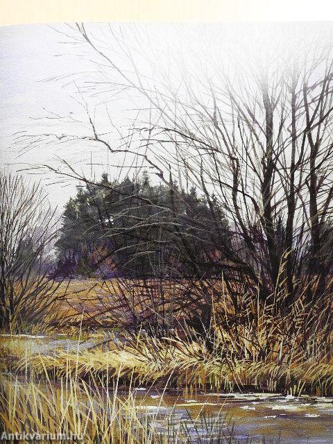 Josef Madlener: Mein Kosmos