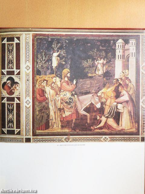 Giotto freskói a padovai Aréna-kápolnában