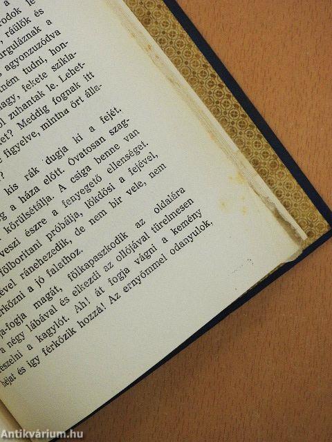 Döcög a szekér/A Mária Annunciáta villában