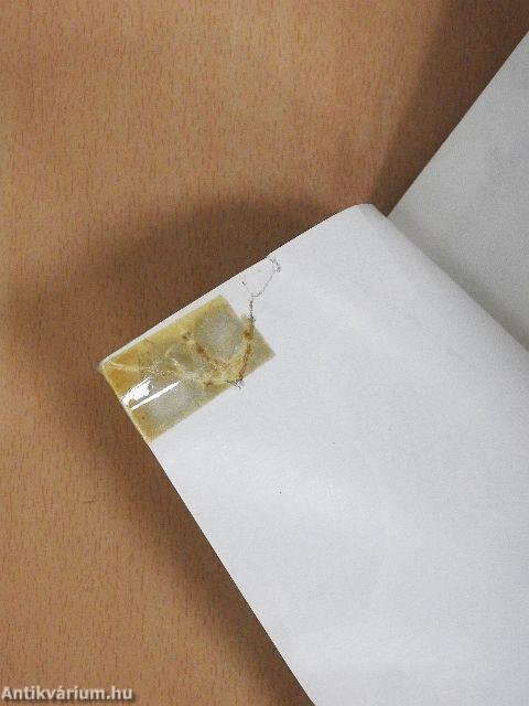 A vezérlő fejedelem