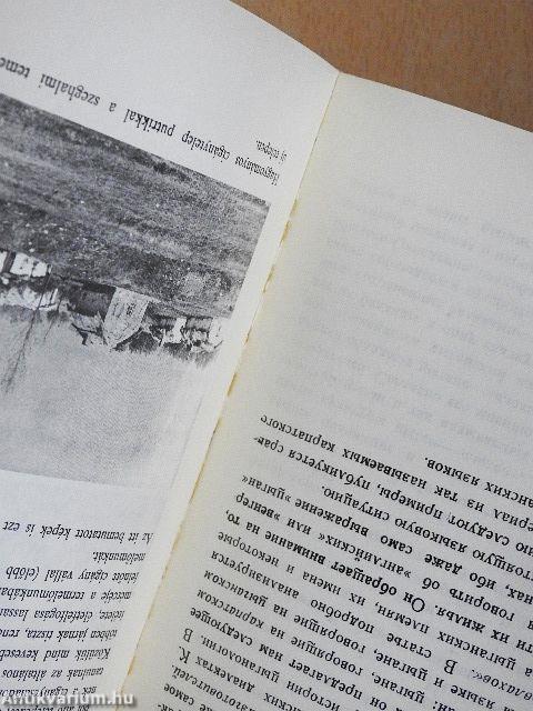 A Békés megyei cigányok