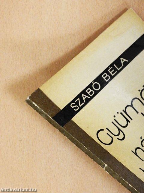 Gyümölcslevek házi készítése