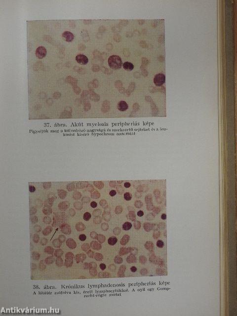 Kórélettani gyakorlatok