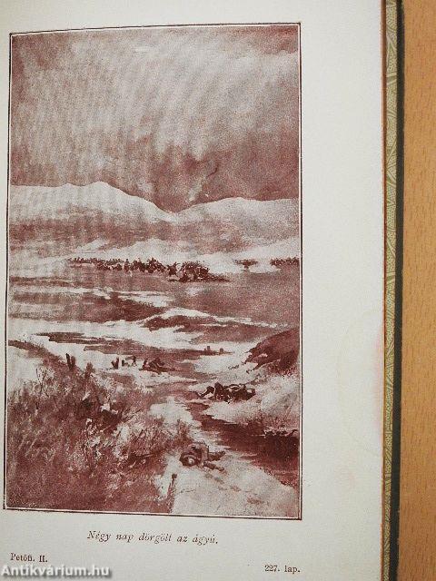 Petőfi Sándor összes költeményei II. (töredék)