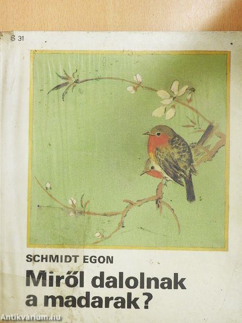 Miről dalolnak a madarak?