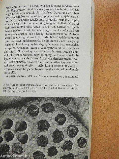 A természet szabadalmai