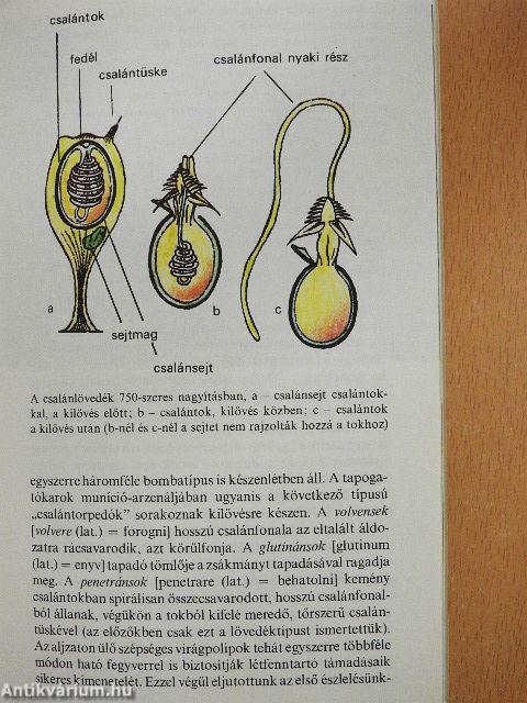 A természet szabadalmai