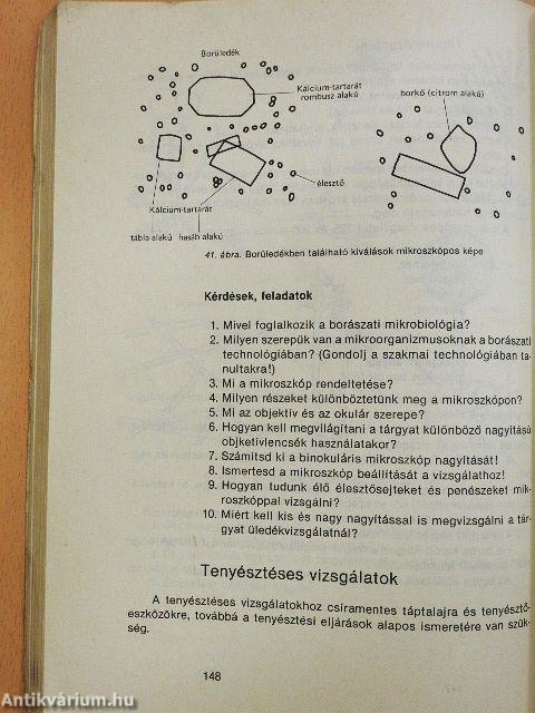 Borászati technológiai gyakorlat I.