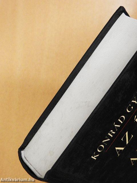 Az író és a város