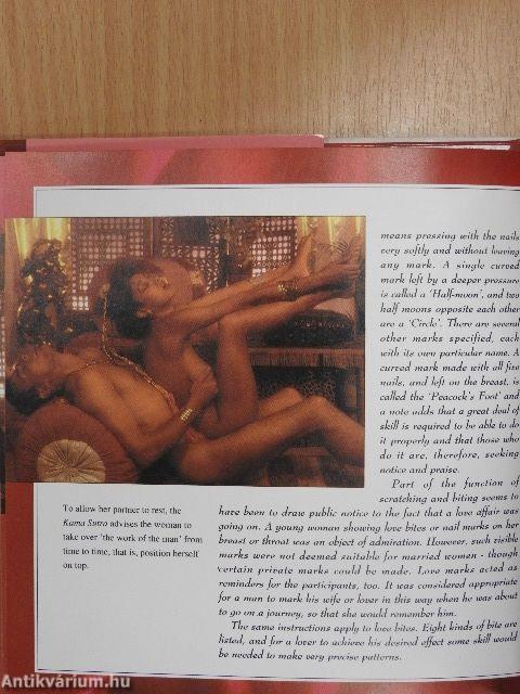 The Lovers' Guide to Kama Sutra 