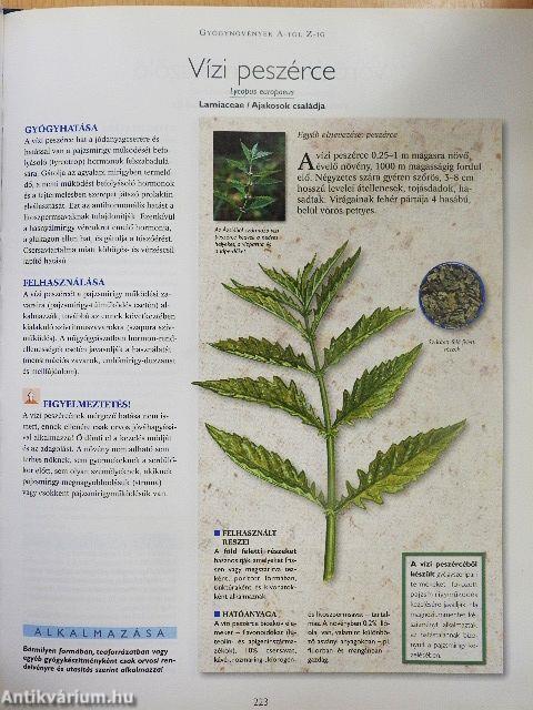 A természet füvészkertje