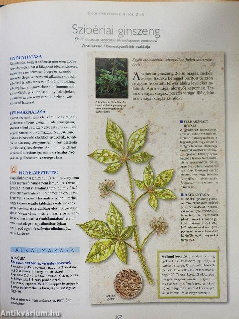 A természet füvészkertje