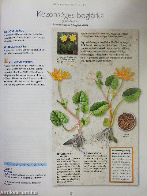 A természet füvészkertje