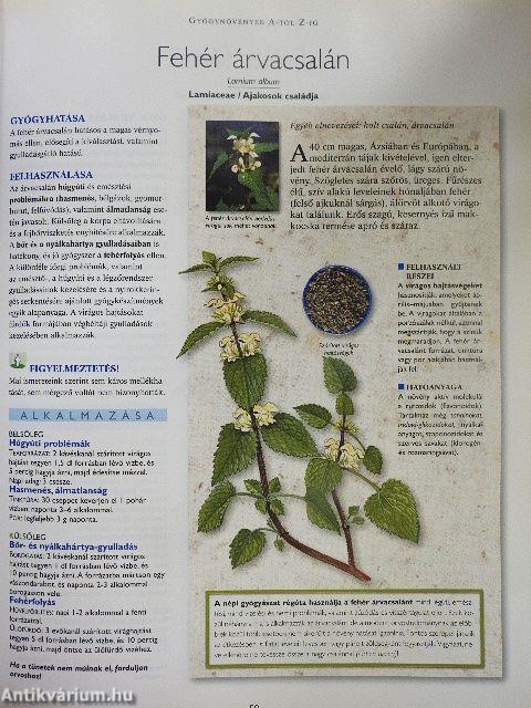 A természet füvészkertje